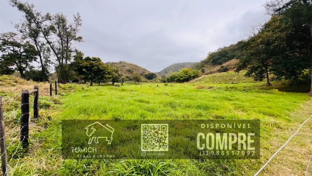 EXCELENTE FAZENDA 35 ALQ.25 MINUT.TEÓFILO OTONI – R$ 3.500.000,00