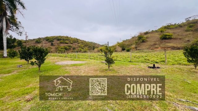 EXCELENTE FAZENDA 35 ALQ.25 MINUT.TEÓFILO OTONI – R$ 3.500.000,00