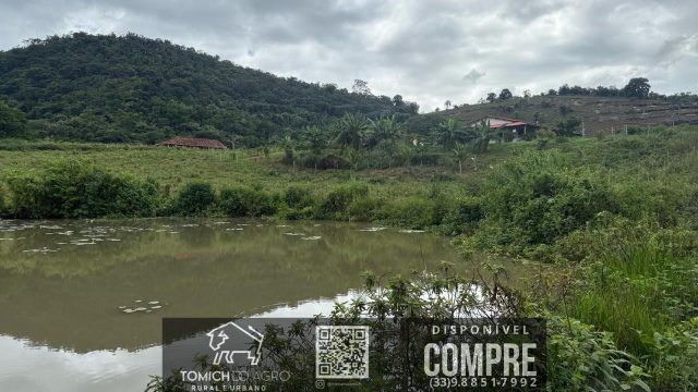 EXCELENTE FAZENDA 34 ALQ. TEÓFILO OTONI – R$ 4.200.000,00