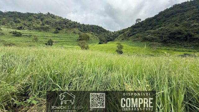 EXCELENTE FAZENDA 34 ALQ. TEÓFILO OTONI – R$ 4.200.000,00