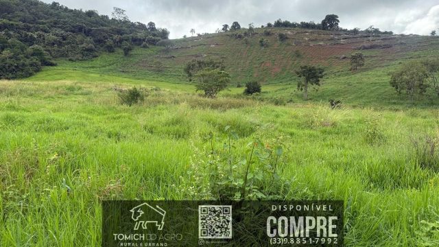 EXCELENTE FAZENDA 34 ALQ. TEÓFILO OTONI – R$ 4.200.000,00