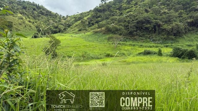 EXCELENTE FAZENDA 34 ALQ. TEÓFILO OTONI – R$ 4.200.000,00