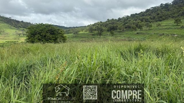 EXCELENTE FAZENDA 34 ALQ. TEÓFILO OTONI – R$ 4.200.000,00