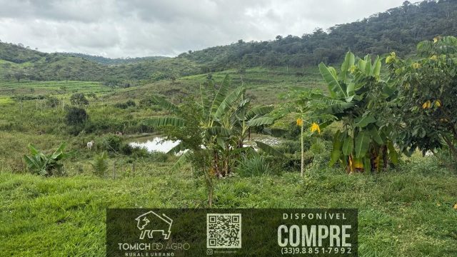 EXCELENTE FAZENDA 34 ALQ. TEÓFILO OTONI – R$ 4.200.000,00