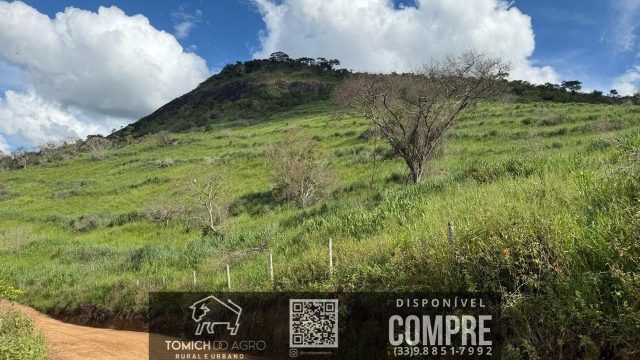EXCELENTE FAZENDA 34 ALQ. TEÓFILO OTONI – R$ 4.200.000,00