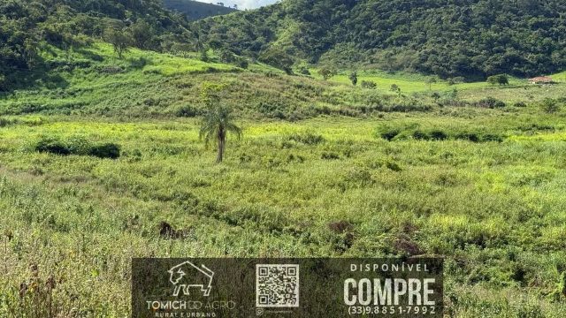 EXCELENTE FAZENDA 34 ALQ. TEÓFILO OTONI – R$ 4.200.000,00