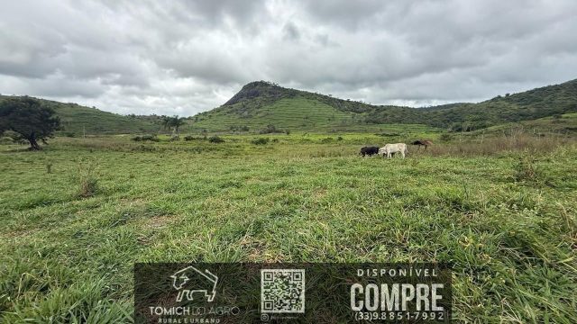 EXCELENTE FAZENDA 34 ALQ. TEÓFILO OTONI – R$ 4.200.000,00
