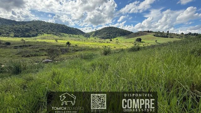 EXCELENTE FAZENDA 34 ALQ. TEÓFILO OTONI – R$ 4.200.000,00