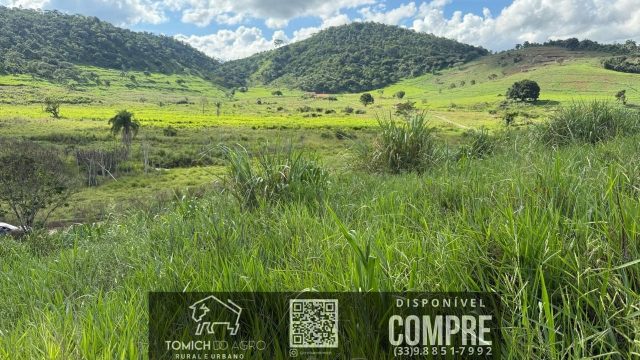 EXCELENTE FAZENDA 34 ALQ. TEÓFILO OTONI – R$ 4.200.000,00