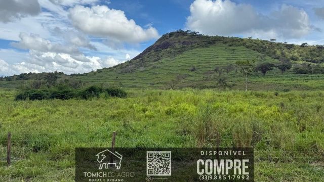 EXCELENTE FAZENDA 34 ALQ. TEÓFILO OTONI – R$ 4.200.000,00