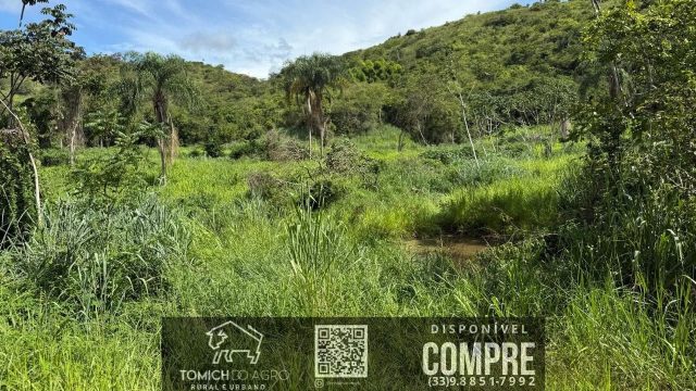 EXCELENTE FAZENDA 34 ALQ. TEÓFILO OTONI – R$ 4.200.000,00
