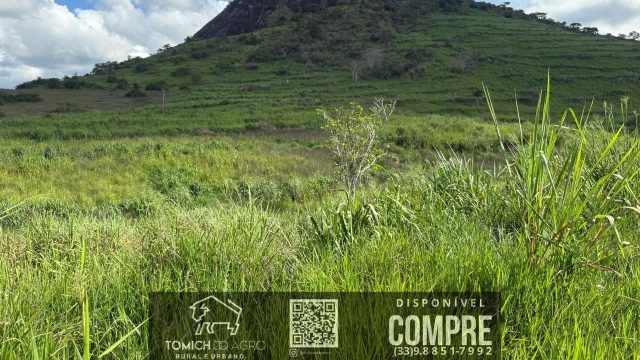 EXCELENTE FAZENDA 34 ALQ. TEÓFILO OTONI – R$ 4.200.000,00