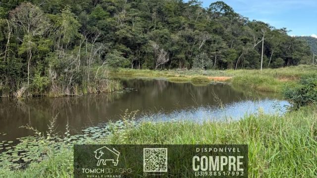 EXCELENTE FAZENDA EM POTÉ MG – 242 HECTARES – R$ 4.200.000,00 ACEITAMOS PROPOSTA
