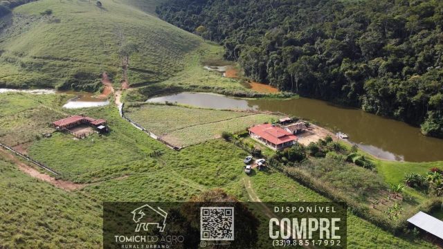 EXCELENTE FAZENDA EM POTÉ MG – 242 HECTARES – R$ 4.200.000,00 ACEITAMOS PROPOSTA