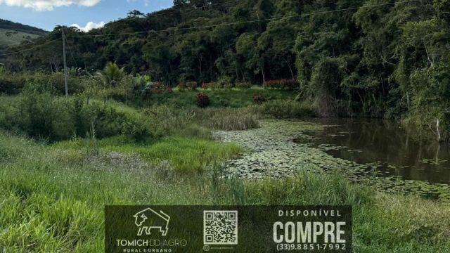 EXCELENTE FAZENDA EM POTÉ MG – 242 HECTARES – R$ 4.200.000,00 ACEITAMOS PROPOSTA