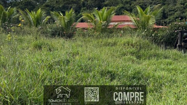 EXCELENTE FAZENDA EM POTÉ MG – 242 HECTARES – R$ 4.200.000,00 ACEITAMOS PROPOSTA