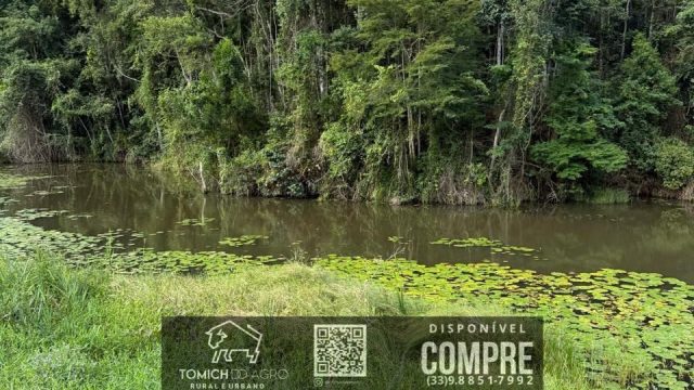EXCELENTE FAZENDA EM POTÉ MG – 242 HECTARES – R$ 4.200.000,00 ACEITAMOS PROPOSTA