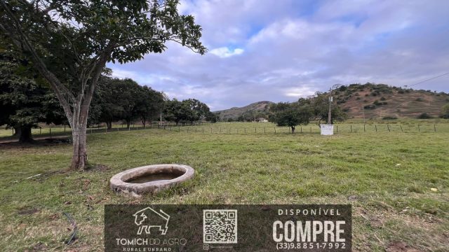 FAZENDA CLIMA QUENTE 30 ALQ. BR 418 – 25 KM T.OTONI MG R$ 3.000.000,00