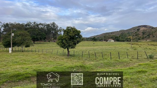 FAZENDA CLIMA QUENTE 30 ALQ. BR 418 – 25 KM T.OTONI MG R$ 3.000.000,00