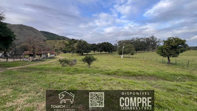 FAZENDA CLIMA QUENTE 30 ALQ. BR 418 – 25 KM T.OTONI MG R$ 3.000.000,00