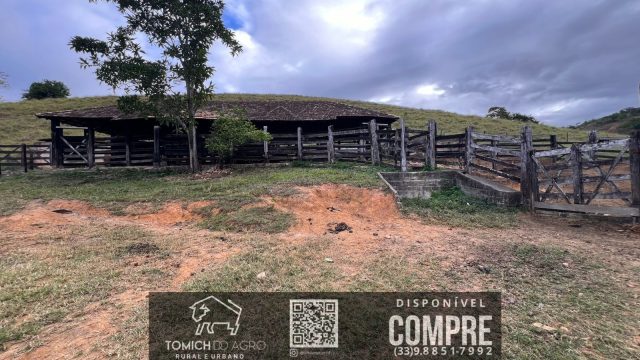 FAZENDA CLIMA QUENTE 30 ALQ. BR 418 – 25 KM T.OTONI MG R$ 3.000.000,00