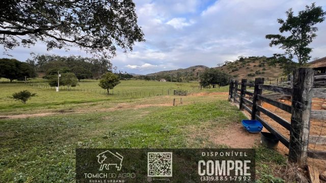 FAZENDA CLIMA QUENTE 30 ALQ. BR 418 – 25 KM T.OTONI MG R$ 3.000.000,00