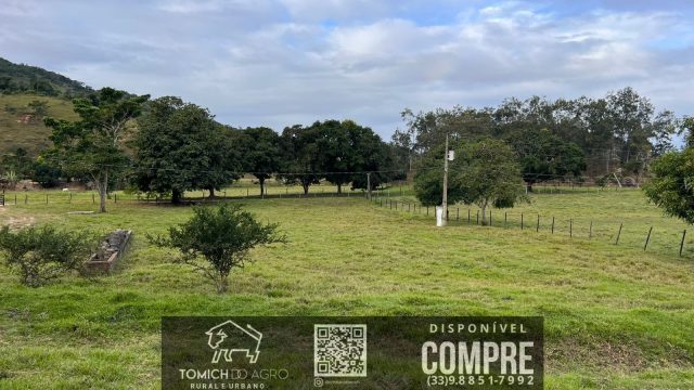 FAZENDA CLIMA QUENTE 30 ALQ. BR 418 – 25 KM T.OTONI MG R$ 3.000.000,00
