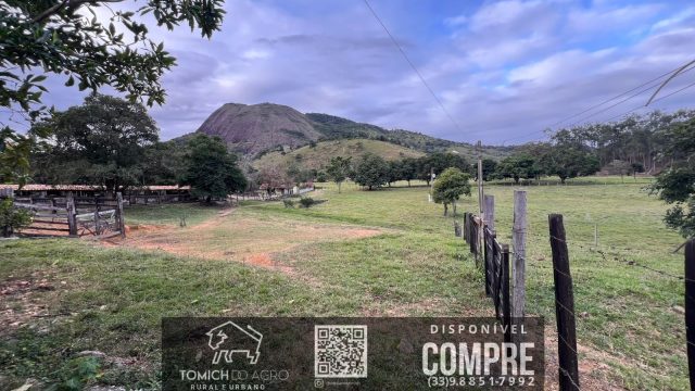 FAZENDA CLIMA QUENTE 30 ALQ. BR 418 – 25 KM T.OTONI MG R$ 3.000.000,00