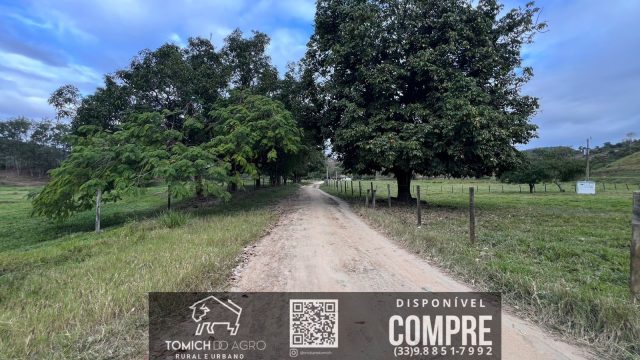 FAZENDA CLIMA QUENTE 30 ALQ. BR 418 – 25 KM T.OTONI MG R$ 3.000.000,00