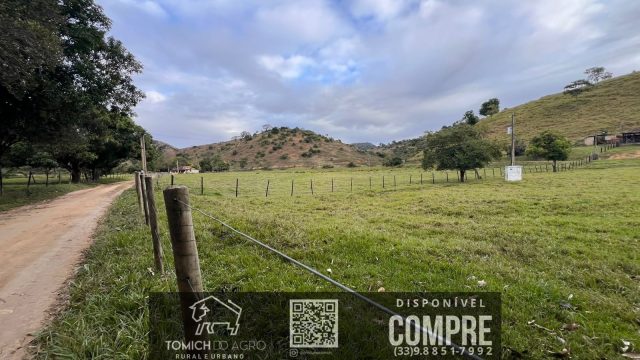 FAZENDA CLIMA QUENTE 30 ALQ. BR 418 – 25 KM T.OTONI MG R$ 3.000.000,00
