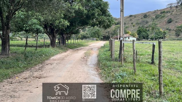 FAZENDA CLIMA QUENTE 30 ALQ. BR 418 – 25 KM T.OTONI MG R$ 3.000.000,00