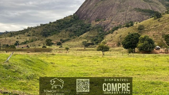 FAZENDA CLIMA QUENTE 30 ALQ. BR 418 – 25 KM T.OTONI MG R$ 3.000.000,00