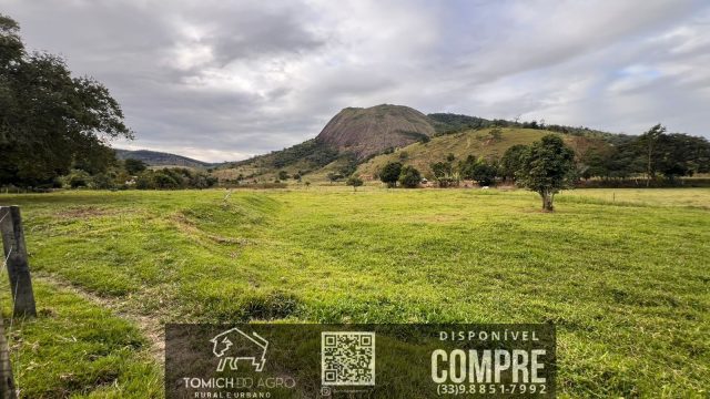 FAZENDA CLIMA QUENTE 30 ALQ. BR 418 – 25 KM T.OTONI MG R$ 3.000.000,00