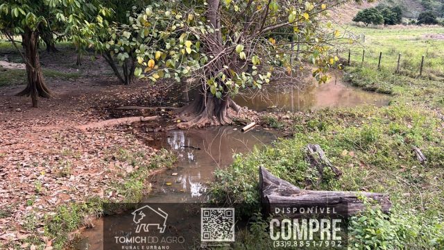 FAZENDA CLIMA QUENTE 30 ALQ. BR 418 – 25 KM T.OTONI MG R$ 3.000.000,00