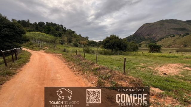 FAZENDA CLIMA QUENTE 30 ALQ. BR 418 – 25 KM T.OTONI MG R$ 3.000.000,00