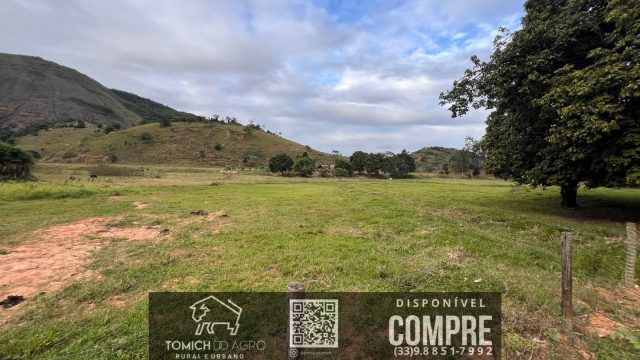 FAZENDA CLIMA QUENTE 30 ALQ. BR 418 – 25 KM T.OTONI MG R$ 3.000.000,00