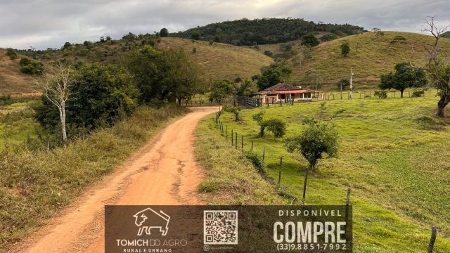FAZENDA CLIMA QUENTE 30 ALQ. BR 418 – 25 KM T.OTONI MG R$ 3.000.000,00