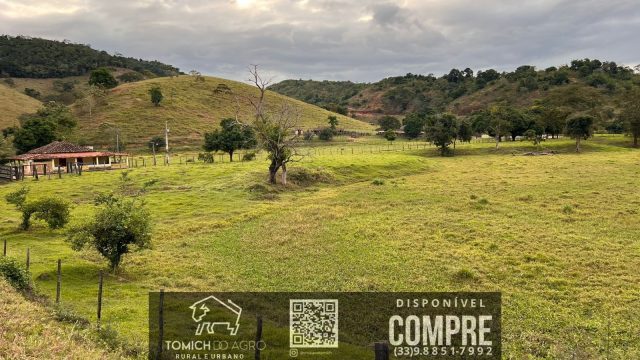 FAZENDA CLIMA QUENTE 30 ALQ. BR 418 – 25 KM T.OTONI MG R$ 3.000.000,00