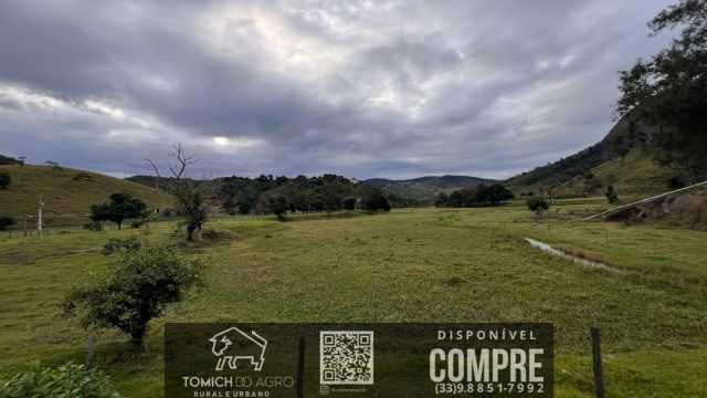 FAZENDA CLIMA QUENTE 30 ALQ. BR 418 – 25 KM T.OTONI MG R$ 3.000.000,00