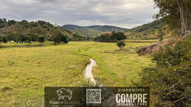 FAZENDA CLIMA QUENTE 30 ALQ. BR 418 – 25 KM T.OTONI MG R$ 3.000.000,00
